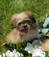 processed/7f721c81-e09d-43fc-a7bb-220ba64ba5e6/listing/512c7b9a-de15-4805-b262-3103137cb223/8fd94108-d9cb-4757-a923-a4f3c4f7a804