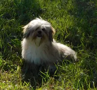 processed/7f721c81-e09d-43fc-a7bb-220ba64ba5e6/listing/512c7b9a-de15-4805-b262-3103137cb223/a09b2cbd-b76f-40f3-a309-5b1be0b6bfc3