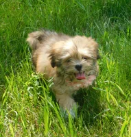 processed/7f721c81-e09d-43fc-a7bb-220ba64ba5e6/listing/512c7b9a-de15-4805-b262-3103137cb223/b3ec9bf6-3623-4b2c-b7b7-dd0b2acbc150