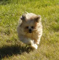 processed/7f721c81-e09d-43fc-a7bb-220ba64ba5e6/listing/512c7b9a-de15-4805-b262-3103137cb223/cde61b21-fce1-477e-bced-2a2f2994c97d