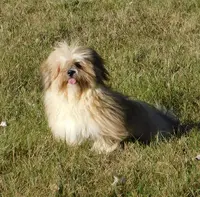 processed/7f721c81-e09d-43fc-a7bb-220ba64ba5e6/listing/512c7b9a-de15-4805-b262-3103137cb223/ec9a8ae2-c034-472f-bf1e-43ad27f005a9