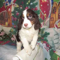 processed/7f721c81-e09d-43fc-a7bb-220ba64ba5e6/listing/53b3052a-7246-453f-be0f-850cd0b1af7f/15bffa9d-a5d8-46ab-a01a-3153cd1e43f3