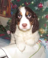 processed/7f721c81-e09d-43fc-a7bb-220ba64ba5e6/listing/53b3052a-7246-453f-be0f-850cd0b1af7f/9ac8961d-a6dd-4abc-83d3-5d9e9b51e061