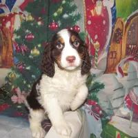 processed/7f721c81-e09d-43fc-a7bb-220ba64ba5e6/listing/53b3052a-7246-453f-be0f-850cd0b1af7f/d294da0b-4d95-4508-9a8b-a963a9cfd7b9