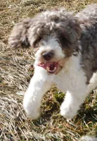 processed/7f721c81-e09d-43fc-a7bb-220ba64ba5e6/listing/548a94c7-9c16-4adb-b418-1f356ace0850/42a94f3e-b243-472f-8870-c1884c038897