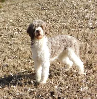 processed/7f721c81-e09d-43fc-a7bb-220ba64ba5e6/listing/548a94c7-9c16-4adb-b418-1f356ace0850/46ae461c-4e21-45bc-9434-9c4308a9773d