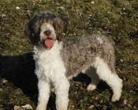 processed/7f721c81-e09d-43fc-a7bb-220ba64ba5e6/listing/548a94c7-9c16-4adb-b418-1f356ace0850/80619d65-86c3-498c-8c8e-da651b39f892