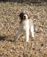 processed/7f721c81-e09d-43fc-a7bb-220ba64ba5e6/listing/548a94c7-9c16-4adb-b418-1f356ace0850/b5c976a2-1d01-44f3-b529-873d78e2f2ec