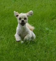 processed/7f721c81-e09d-43fc-a7bb-220ba64ba5e6/listing/5f01f00c-3952-4e68-83a6-41025d7ff866/085f1241-d1b0-460c-a805-bb8d6ef378d7