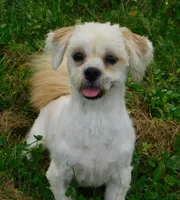 processed/7f721c81-e09d-43fc-a7bb-220ba64ba5e6/listing/5f01f00c-3952-4e68-83a6-41025d7ff866/2b54516b-b123-462e-ac09-367f6249a7d5