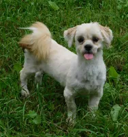 processed/7f721c81-e09d-43fc-a7bb-220ba64ba5e6/listing/5f01f00c-3952-4e68-83a6-41025d7ff866/52957fef-f013-41ec-93c2-4b51cf85166f