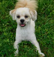 processed/7f721c81-e09d-43fc-a7bb-220ba64ba5e6/listing/5f01f00c-3952-4e68-83a6-41025d7ff866/5ece3357-bb44-49f6-84ca-7b1d865e4af2