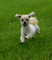 processed/7f721c81-e09d-43fc-a7bb-220ba64ba5e6/listing/5f01f00c-3952-4e68-83a6-41025d7ff866/89c87795-23ef-42f4-8539-cac6406fb756