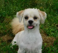 processed/7f721c81-e09d-43fc-a7bb-220ba64ba5e6/listing/5f01f00c-3952-4e68-83a6-41025d7ff866/8af455ba-1e9d-4202-a72c-af29fa56b365