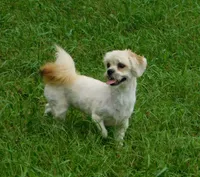 processed/7f721c81-e09d-43fc-a7bb-220ba64ba5e6/listing/5f01f00c-3952-4e68-83a6-41025d7ff866/9af786c5-6e22-47fc-9eaa-f3c20e2f1c0a