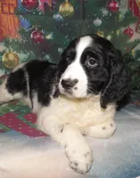 processed/7f721c81-e09d-43fc-a7bb-220ba64ba5e6/listing/626b459c-b0be-47f0-8ece-995cbe423e41/4bb2693f-badc-451d-8cee-a6b02a21758a