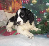 processed/7f721c81-e09d-43fc-a7bb-220ba64ba5e6/listing/626b459c-b0be-47f0-8ece-995cbe423e41/51b06ad1-c7af-4a70-b639-aff76dcacc2b