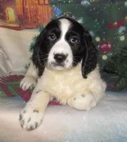 processed/7f721c81-e09d-43fc-a7bb-220ba64ba5e6/listing/626b459c-b0be-47f0-8ece-995cbe423e41/5bf7fd1f-7824-4baf-9247-fa3840ef27e2