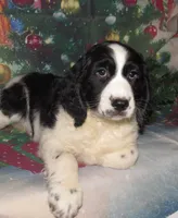 processed/7f721c81-e09d-43fc-a7bb-220ba64ba5e6/listing/626b459c-b0be-47f0-8ece-995cbe423e41/796296a2-5ccf-4b91-a5a0-be145ce30cac