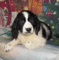 processed/7f721c81-e09d-43fc-a7bb-220ba64ba5e6/listing/626b459c-b0be-47f0-8ece-995cbe423e41/adfe5278-930c-4e08-a346-e15203cf9be2