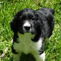 processed/7f721c81-e09d-43fc-a7bb-220ba64ba5e6/listing/6a196139-786a-4653-8662-d90b6f648856/0c8262de-6fde-4d46-9c40-623f08eb53ed