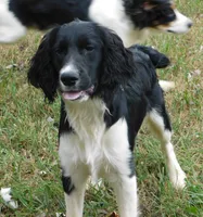 processed/7f721c81-e09d-43fc-a7bb-220ba64ba5e6/listing/6a196139-786a-4653-8662-d90b6f648856/403f1722-198a-4596-8589-094337b149c0