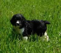 processed/7f721c81-e09d-43fc-a7bb-220ba64ba5e6/listing/6a196139-786a-4653-8662-d90b6f648856/4e4d5fe0-56b2-4633-ad2a-3e29403c8972