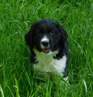 processed/7f721c81-e09d-43fc-a7bb-220ba64ba5e6/listing/6a196139-786a-4653-8662-d90b6f648856/73fe773e-6a2d-4636-bc42-979a95641e8f