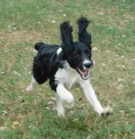 processed/7f721c81-e09d-43fc-a7bb-220ba64ba5e6/listing/6a196139-786a-4653-8662-d90b6f648856/a6bcf636-8d8b-4961-9526-5f4642513200