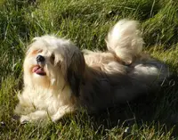 processed/7f721c81-e09d-43fc-a7bb-220ba64ba5e6/listing/7eff5ba3-0ff0-4ad8-8df7-318a9009aa30/4fe1eb30-617f-4c1c-836e-224bce2035c3