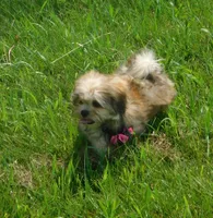 processed/7f721c81-e09d-43fc-a7bb-220ba64ba5e6/listing/7eff5ba3-0ff0-4ad8-8df7-318a9009aa30/5b60d1d7-63ca-45f6-8d12-db1ec4f17040