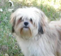 processed/7f721c81-e09d-43fc-a7bb-220ba64ba5e6/listing/7eff5ba3-0ff0-4ad8-8df7-318a9009aa30/945a28f3-3104-4900-a999-0d3113f2b19d