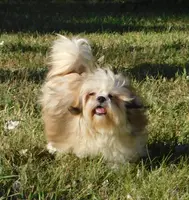 processed/7f721c81-e09d-43fc-a7bb-220ba64ba5e6/listing/7eff5ba3-0ff0-4ad8-8df7-318a9009aa30/954d5f18-457b-410c-9e2e-538aa69bf1bf