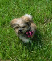 processed/7f721c81-e09d-43fc-a7bb-220ba64ba5e6/listing/7eff5ba3-0ff0-4ad8-8df7-318a9009aa30/b1efef98-464d-48e3-bbee-3b24b33785ed