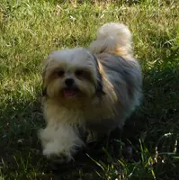 processed/7f721c81-e09d-43fc-a7bb-220ba64ba5e6/listing/7eff5ba3-0ff0-4ad8-8df7-318a9009aa30/b7cc39f8-e95c-4ddf-afab-ca490172e36d