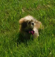 processed/7f721c81-e09d-43fc-a7bb-220ba64ba5e6/listing/7eff5ba3-0ff0-4ad8-8df7-318a9009aa30/dbaf7562-3ffa-4ff4-bb97-ae810ce5523c