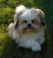 processed/7f721c81-e09d-43fc-a7bb-220ba64ba5e6/listing/7eff5ba3-0ff0-4ad8-8df7-318a9009aa30/e7591642-0868-4cf7-93ee-850a9c3e9577