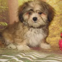 processed/7f721c81-e09d-43fc-a7bb-220ba64ba5e6/listing/7eff5ba3-0ff0-4ad8-8df7-318a9009aa30/fac02cc4-1485-49c9-927e-e28f6507f5dc