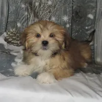 processed/7f721c81-e09d-43fc-a7bb-220ba64ba5e6/listing/8a7f65cc-d604-461c-9bc7-036e340356a8/bbe304ad-c3a9-47b7-9078-b6b284162522