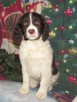 processed/7f721c81-e09d-43fc-a7bb-220ba64ba5e6/listing/8caa2a1d-b5f5-4b80-8092-17581f3e7b3f/23f8af4c-fa74-455d-bdbc-2531ee4b35e4