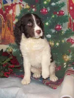 processed/7f721c81-e09d-43fc-a7bb-220ba64ba5e6/listing/8caa2a1d-b5f5-4b80-8092-17581f3e7b3f/ca932b22-4ed1-4e93-84f1-4b5f808b0d3d