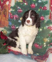 processed/7f721c81-e09d-43fc-a7bb-220ba64ba5e6/listing/8caa2a1d-b5f5-4b80-8092-17581f3e7b3f/cb67793a-9ccb-43c1-8b0c-fefb0c95427b