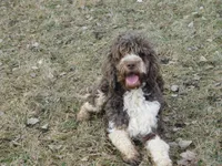 processed/7f721c81-e09d-43fc-a7bb-220ba64ba5e6/listing/aca98ca8-9aa8-46ad-8ec0-b98bc920ff69/87cb1b60-2d1b-4a6e-8322-3da8b9100ca1