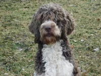 processed/7f721c81-e09d-43fc-a7bb-220ba64ba5e6/listing/aca98ca8-9aa8-46ad-8ec0-b98bc920ff69/90d4b153-e7d5-4f4a-88de-a2e6a6c3056c