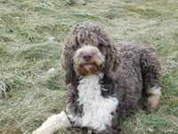 processed/7f721c81-e09d-43fc-a7bb-220ba64ba5e6/listing/aca98ca8-9aa8-46ad-8ec0-b98bc920ff69/bf79e34f-3a2a-4ce8-8a5d-5ce545f0e9db