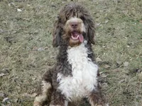 processed/7f721c81-e09d-43fc-a7bb-220ba64ba5e6/listing/aca98ca8-9aa8-46ad-8ec0-b98bc920ff69/dcafe223-f3d6-435e-ac4b-88ce87f7e7d1