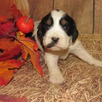 processed/7f721c81-e09d-43fc-a7bb-220ba64ba5e6/listing/b180ad2d-12ee-4df5-acf9-315b8518358f/123edf10-0621-4283-90f9-3f38f4a11b25