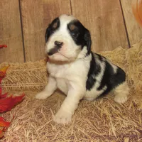 processed/7f721c81-e09d-43fc-a7bb-220ba64ba5e6/listing/b180ad2d-12ee-4df5-acf9-315b8518358f/43cbe497-fb72-4d23-8a5b-312e93c4bfc2