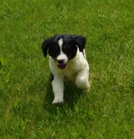 processed/7f721c81-e09d-43fc-a7bb-220ba64ba5e6/listing/b33afecb-c173-475e-b8c5-7d70a8b666fb/1dd2847c-82bb-4ca3-94c0-554e0215f65b