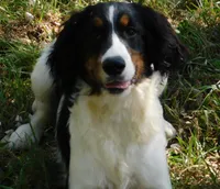 processed/7f721c81-e09d-43fc-a7bb-220ba64ba5e6/listing/b33afecb-c173-475e-b8c5-7d70a8b666fb/24c2a05a-2b2b-44b5-8078-a3eff8102af3